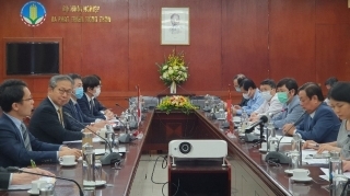 大使表敬