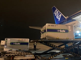 ANA