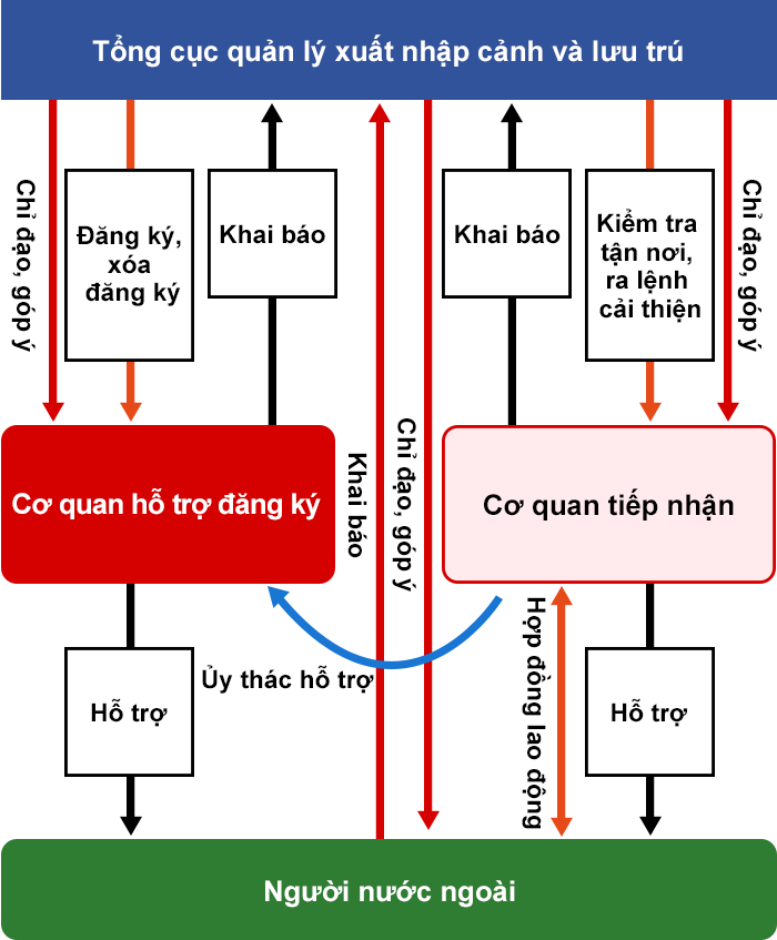 Mối quan hệ giữa Tổng cục quản lý xuất nhập cảnh và lưu trú, cơ quan hỗ trợ đăng ký, cơ quan tiếp nhận và người nước ngoài như sau:
Cơ quan tiếp nhận ký hợp đồng lao động với người nước ngoài và hỗ trợ người nước ngoài. Cơ quan tiếp nhận cũng có thể ủy thác cho cơ quan hỗ trợ đăng ký thực hiện hỗ trợ người nước ngoài.
Tổng cục quản lý xuất nhập cảnh và lưu trú phê duyệt hoặc xóa đăng ký của cơ quan hỗ trợ đăng ký. Cơ quan hỗ trợ đăng ký hỗ trợ người nước ngoài.
Tổng cục quản lý xuất nhập cảnh và lưu trú kiểm tra tận nơi, ra lệnh cải thiện đối với cơ quan tiếp nhận.
